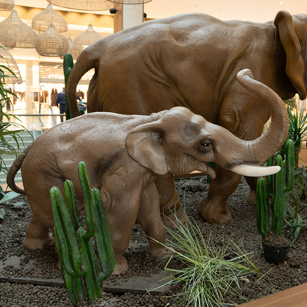 Eléphant PT