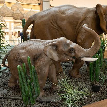 Eléphant PT