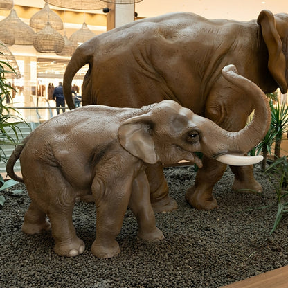 Eléphant PT