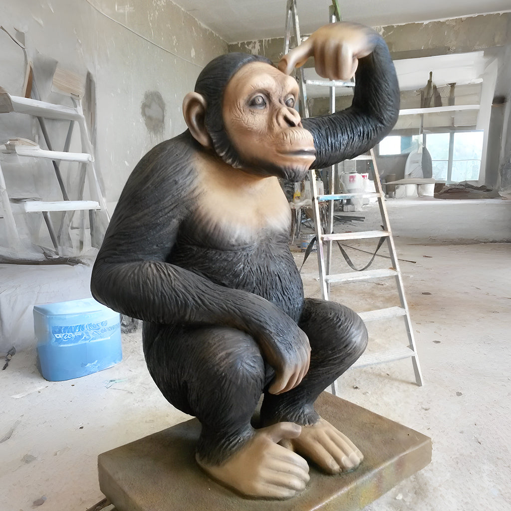 Chimpanzee