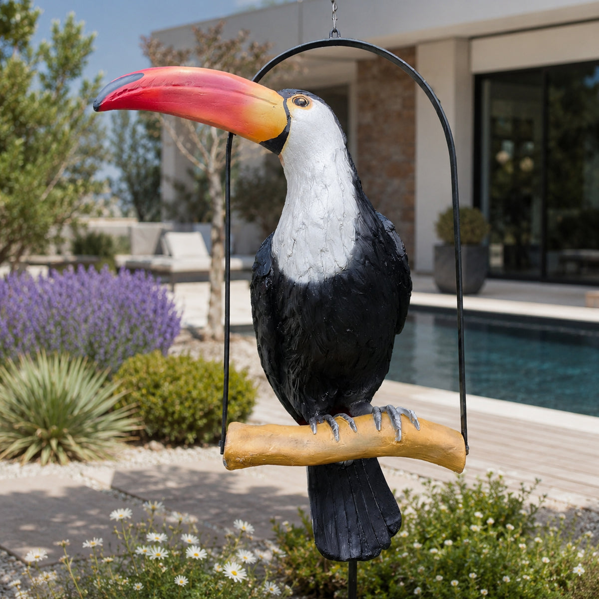 Toucan