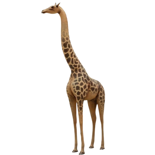 Girafe GT