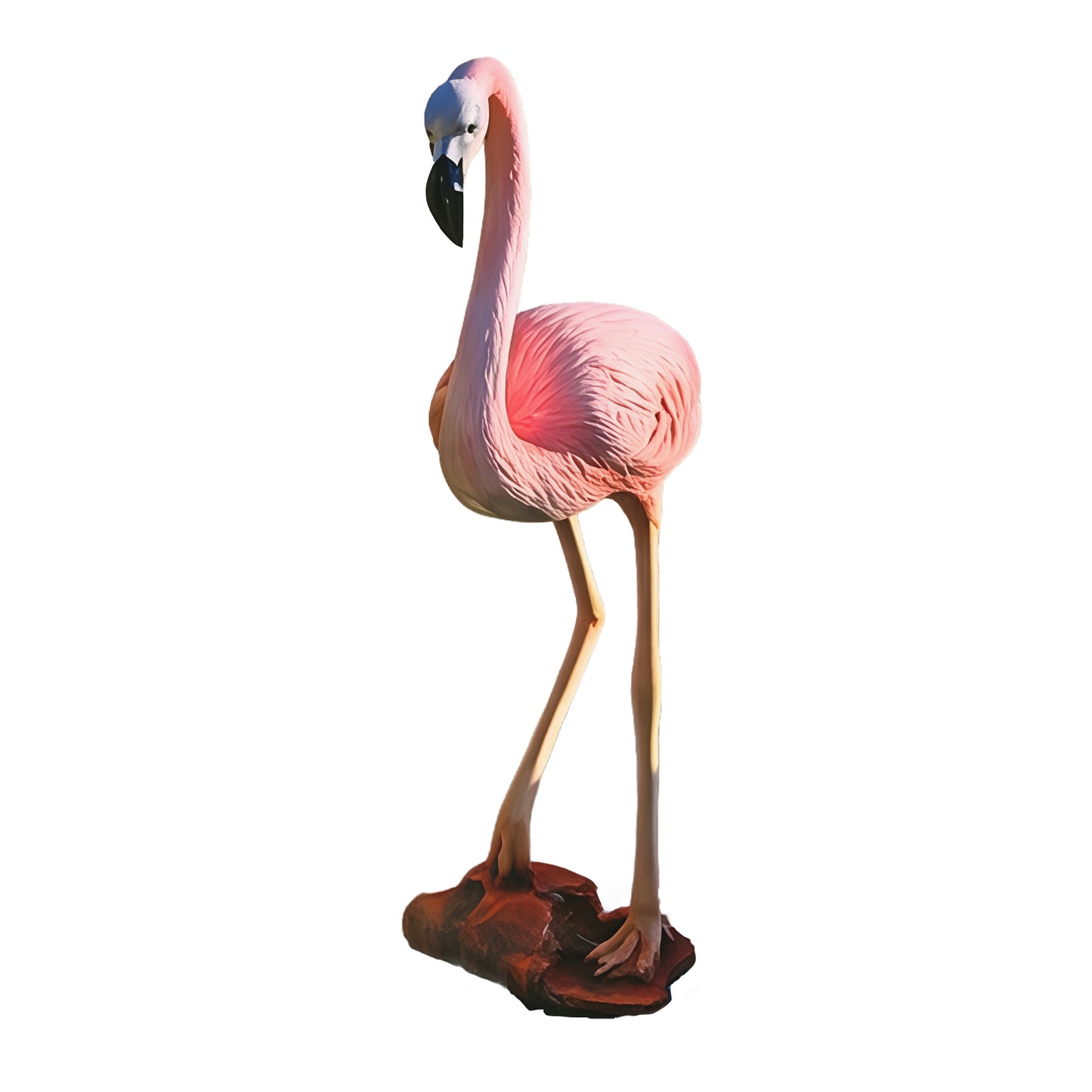 Flamant Rose