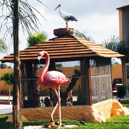 Cigogne