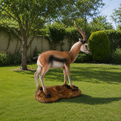 Gazelle