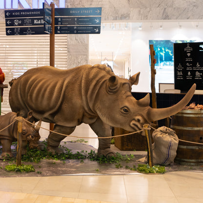 Rhinocéros GT