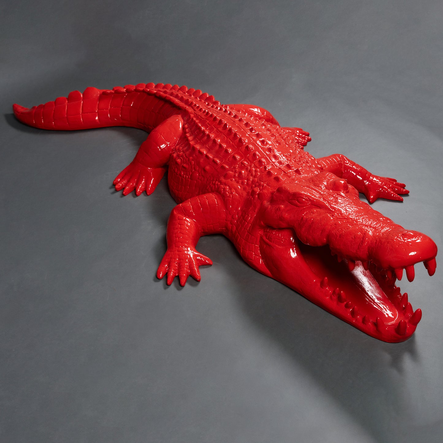 Crocodile rouge