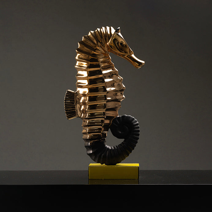 hippocompe broderie noir