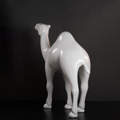 Dromadaire blanc