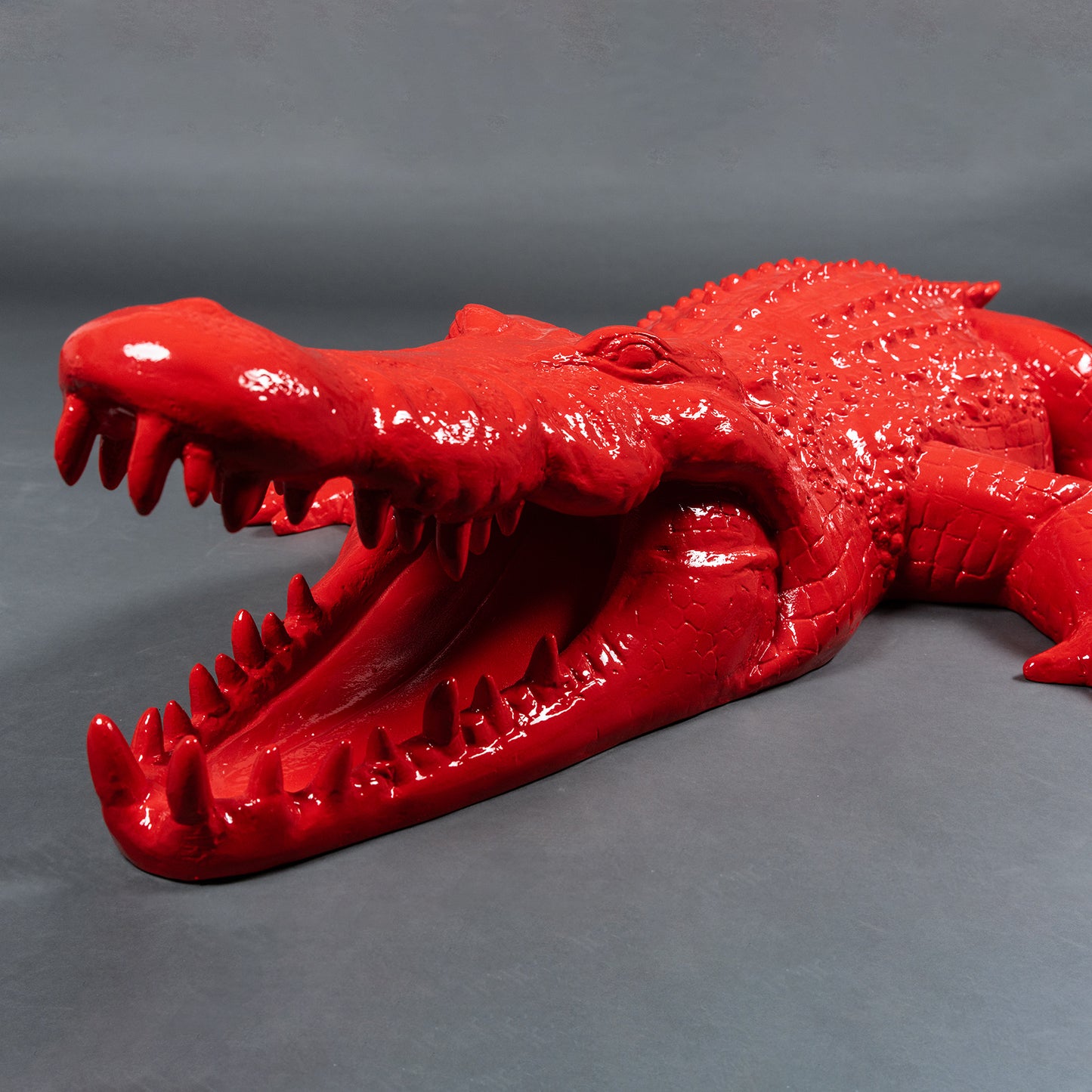 Crocodile rouge