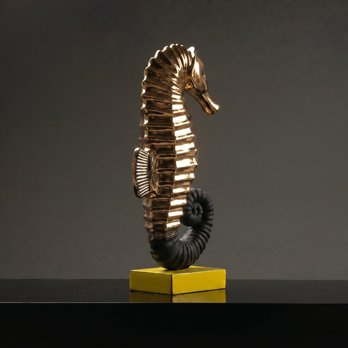 hippocompe broderie noir