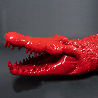 Crocodile rouge