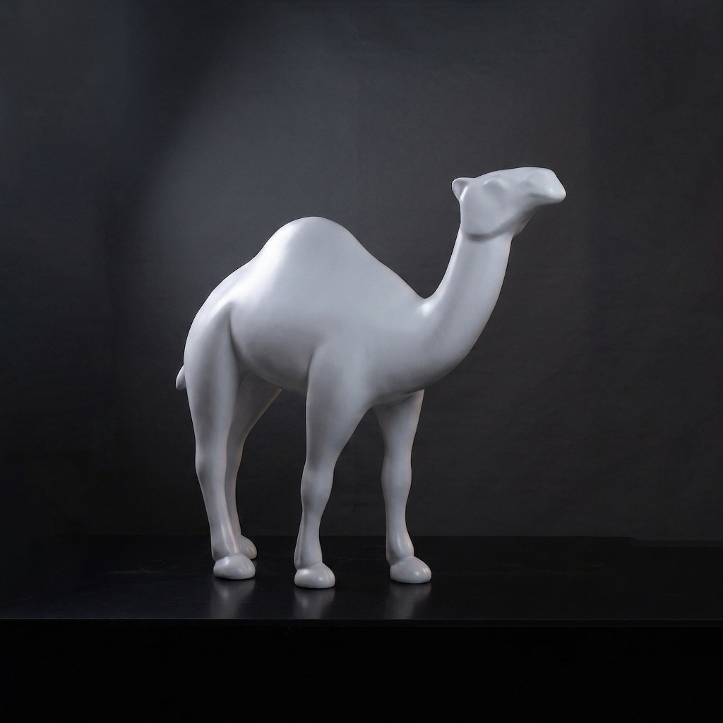 Dromadaire blanc