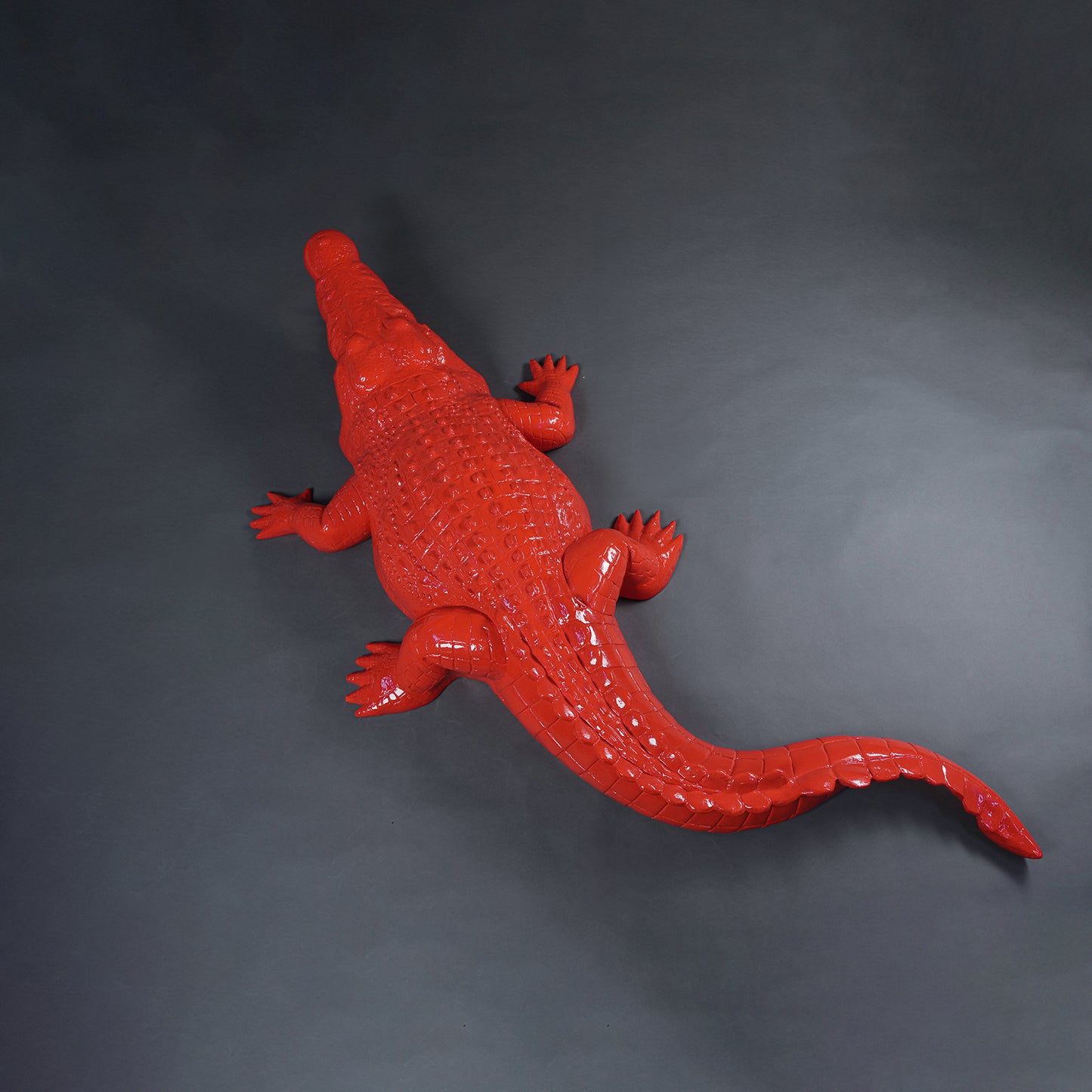 Crocodile rouge