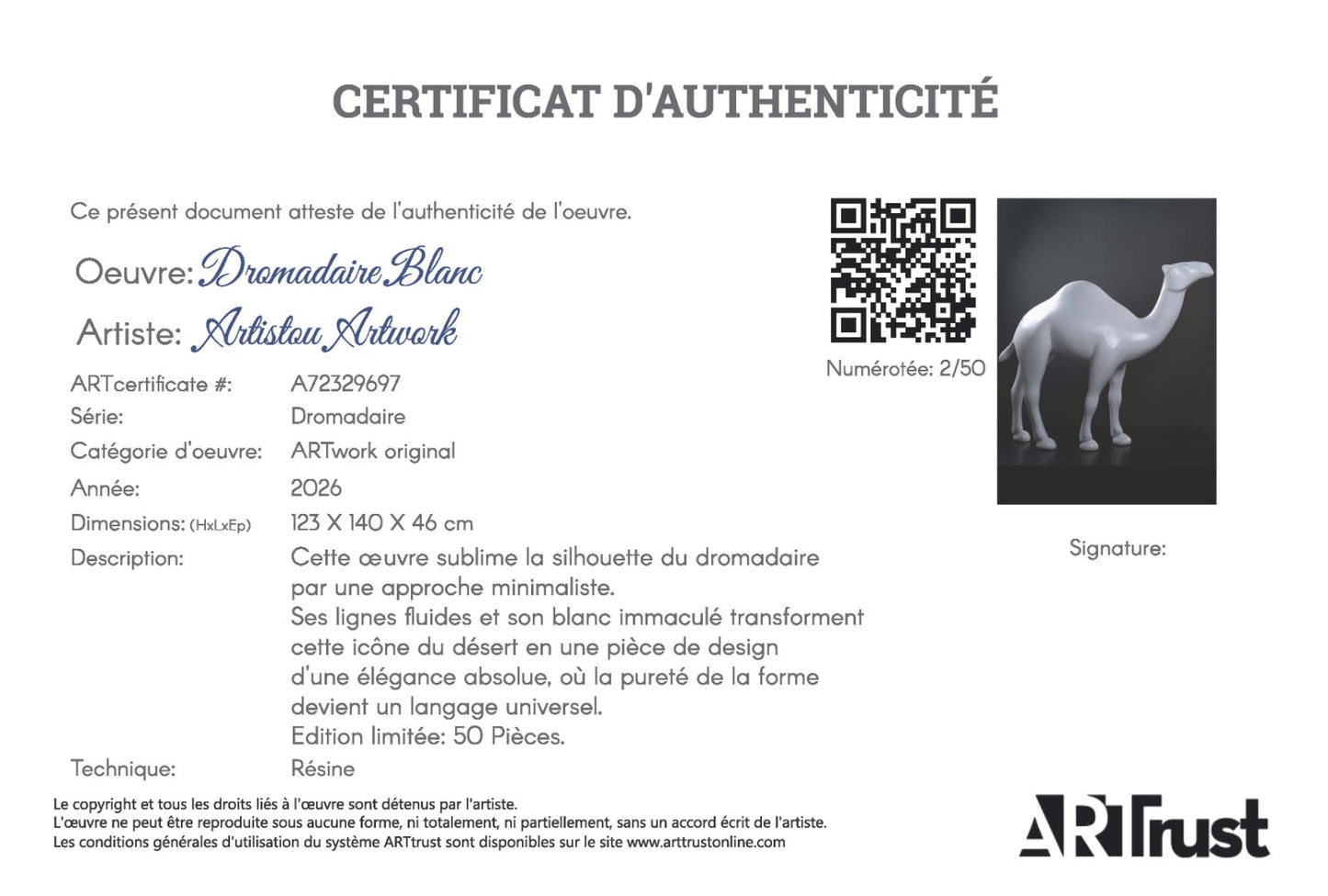 Dromadaire blanc