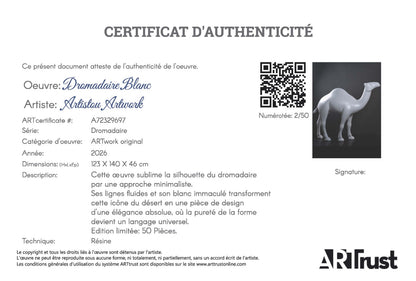 Dromadaire blanc