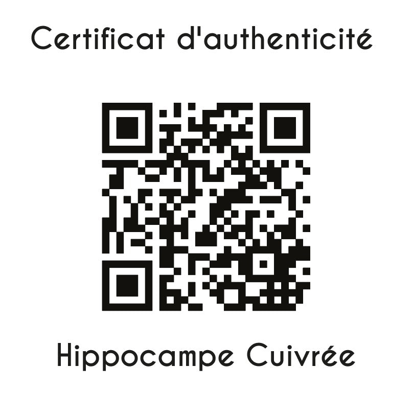 certificat d'authenticité Hippocampe cuivrée papillon sculpture en résine 