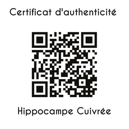 certificat d'authenticité Hippocampe cuivrée papillon sculpture en résine 