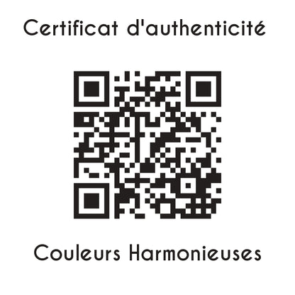 certificat d'authenticité Couleurs Harmonieuses sculpture en résine