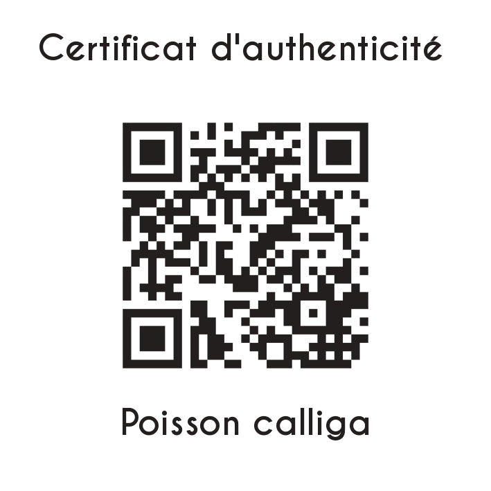 certificat d'authenticité Poisson calliga sculpture en résine