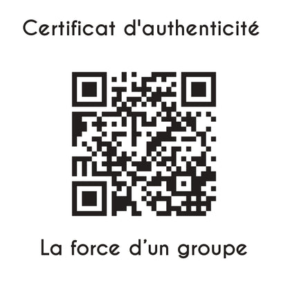certificat d'authenticité la force d'un groupe sculpture en résine