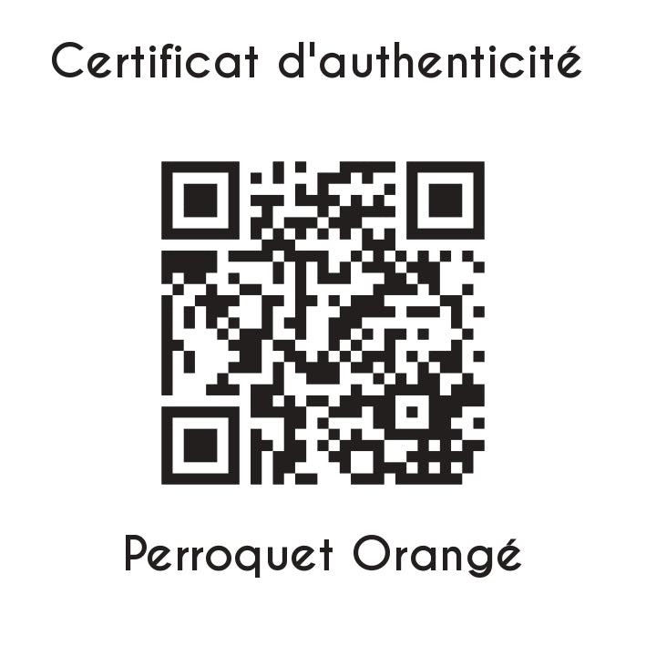 certificat d'authenticité Perroquet Orange sculpture en résine