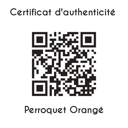 certificat d'authenticité Perroquet Orange sculpture en résine