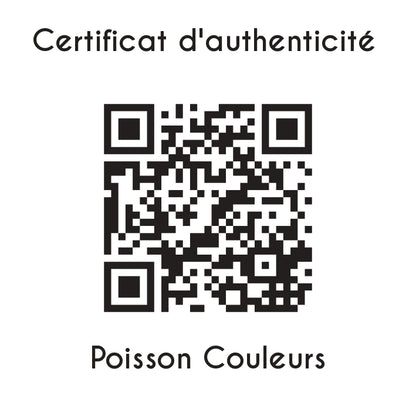 certificat d'authenticité Poisson couleurs sculpture en résine