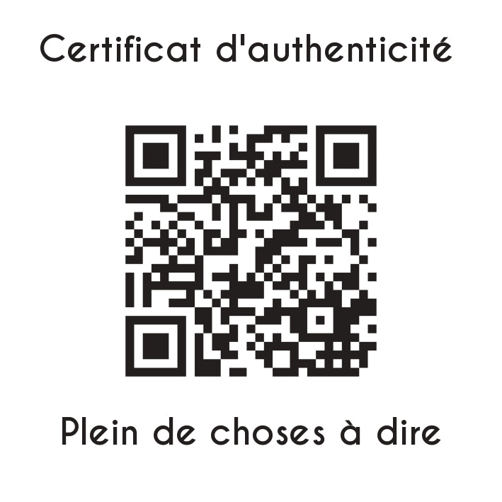 certificat d'authenticité plein de choses a dire sculpture en résine
