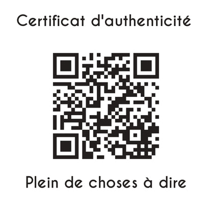 certificat d'authenticité plein de choses a dire sculpture en résine