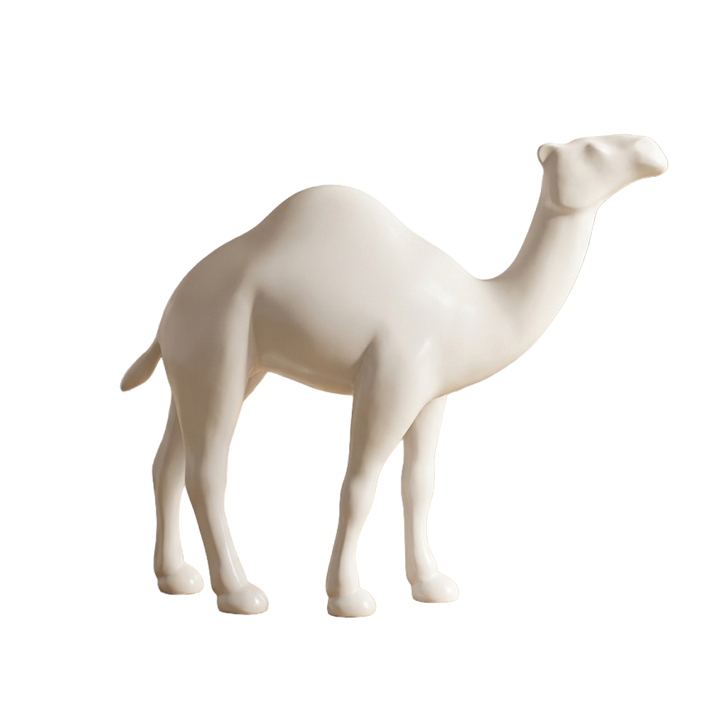 Dromadaire blanc