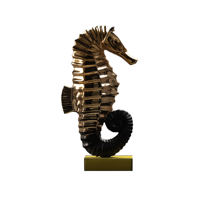 hippocompe broderie noir