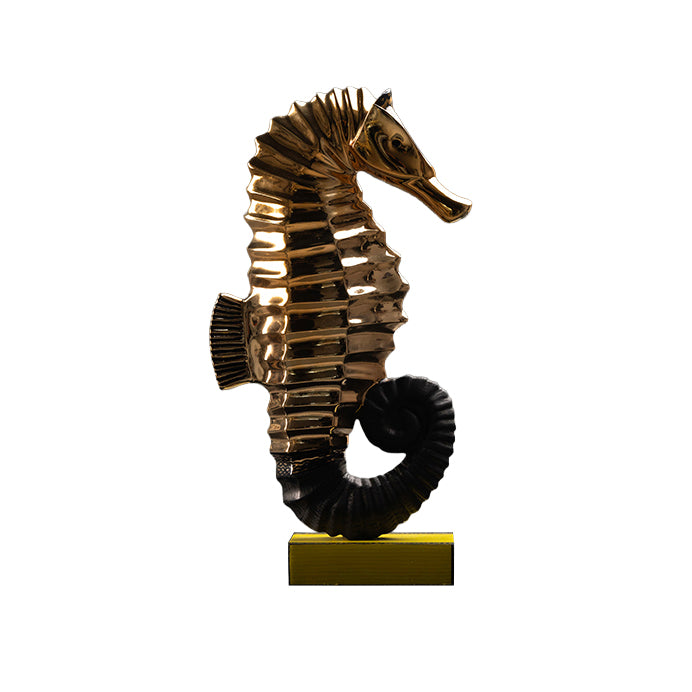 hippocompe broderie noir